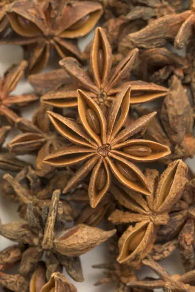 Yıldız anason kapsüllerinin yakın çekimleri doğal yıldız şekillerini ve kaba dokularını gösteriyor. Aromatik baharatlar yemek pişirmede, bitkisel aşılarda ve doğal ilaçlarda kullanılır. Yemek malzemelerini, mutfak konseptlerini ve aromatik baharatları resmetmek için mükemmel..