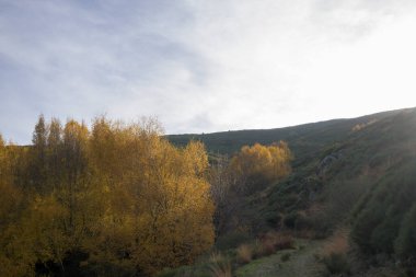 Yeşil tepeli bir dağ sırasının panoramik manzarası ve açık mavi gökyüzünün altında sonbahar renklerinde ağaçlarla dolu bir vadi. Sierra de Gredos bölgesinde yakalandı, Puerto de Honduras, Caceres yakınlarında. Doğa, seyahat ve çevreyi resmetmek için ideal