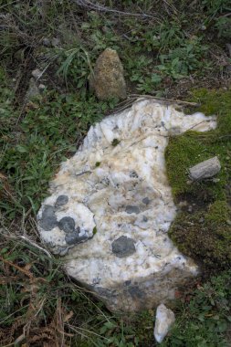 Yeşil tepeli bir dağ sırasının panoramik manzarası ve açık mavi gökyüzünün altında sonbahar renklerinde ağaçlarla dolu bir vadi. Sierra de Gredos bölgesinde yakalandı, Puerto de Honduras, Caceres yakınlarında. Doğa, seyahat ve çevreyi resmetmek için ideal