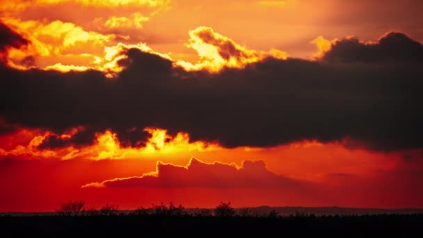 Timelapse Dramatic Sunset Sun Rays Sky Orange Clouds Big Bright — Stock Video