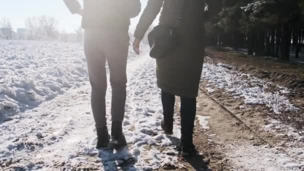 2人の女の子が遅い動きでは 冬の森の中で手をつないで歩いている リアビュー 女性のガールフレンドは 明るい太陽に対して雪のパスを歩く 愛のカップルの足のバックビュー Lgbtレズビアン — ストック動画