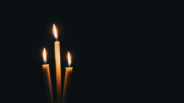 Three Candles Lit Black Background Close Yellow Flickering Flames Illuminate — Video