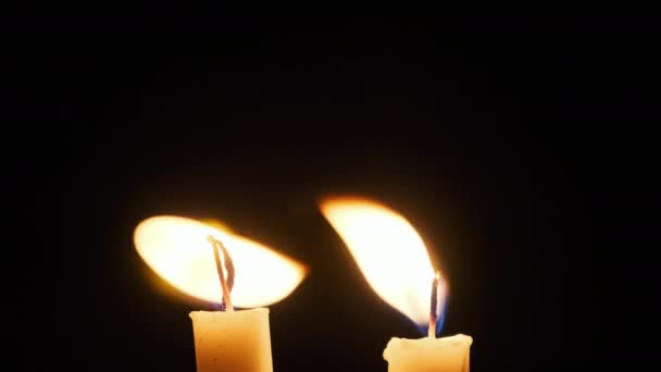Two Candle Burns Black Background Close Yellow Flickering Flame Illuminates — Video