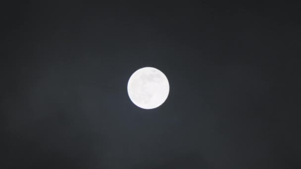 Повний Місяць Нічному Небі Світиться Через Темні Хмари Містичне Місячне — стокове відео