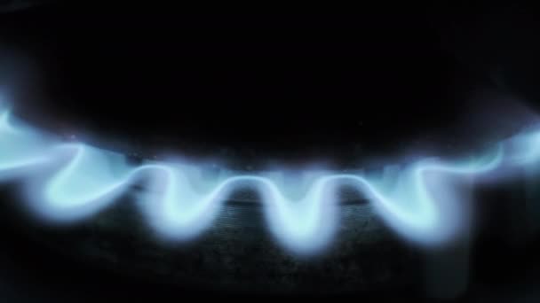Ignited Gas Burner Close Burning Blue Flame Gas Kitchen Stove — Video Stock