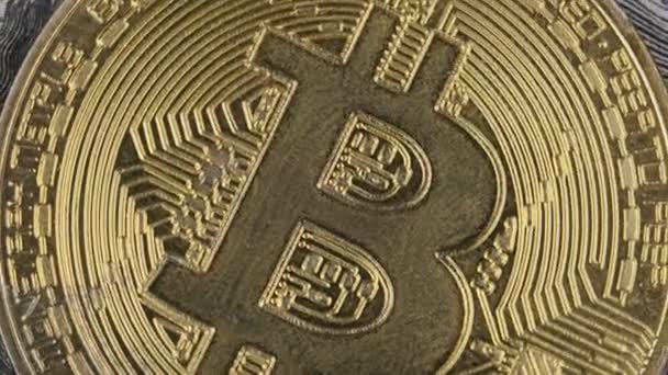 Gold Coin Bitcoin Rotates Close Background Dollars Symbol Cryptocurrency Concept — Vídeos de Stock