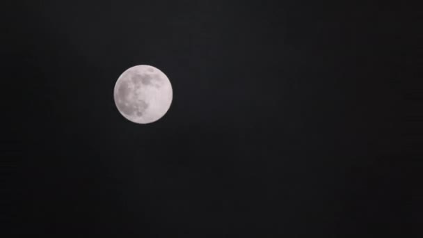 Gece Gökyüzündeki Dolunay Kara Bulutların Arasında Parlıyor Mistik Işığı Ayın — Stok video