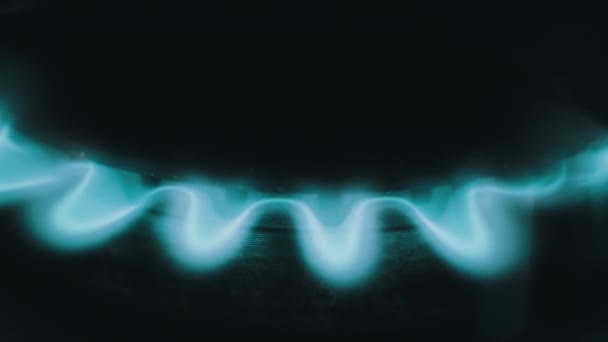 Спалювання Блакитного Полум Газу Кухонній Плиті Макросі Запалений Газ Пальнику — стокове відео