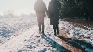 Kış ormanı yakınlarındaki karlı bir patikada el ele yürüyen iki kadının arka görüntüsü, yavaş çekim. Parlak güneşe karşı karda yürüyen kız arkadaşlar. Sevgili bir çift kavramı, lezbiyen, LGBT