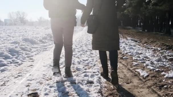 Visão Traseira Duas Mulheres Andando Mãos Dadas Longo Caminho Nevado — Vídeo de Stock