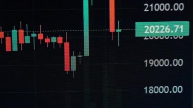 Bitcoin trading with price evolution. Timelapse chart of the price of USD and BTC in the stock market. Cryptocurrency exchange chart online on a laptop screen. Digital graph data of crypto currency.