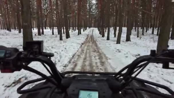 Pierwszy Widok Człowieka Jadącego Quadem Śnieżnym Terenie Widok Kierownicę Kontrola — Wideo stockowe