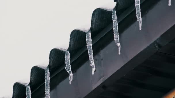Lot Icicles Hang Overhang Roof Building Sky Icicles Hang Roof — 图库视频影像