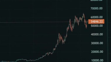 Timelapse of Bitcoin price chart on the monitor screen. Cryptocurrency exchange chart online. Stock market chart of Bitcoin currency. Graph of digital quotes of usd and btc at stock exchange market