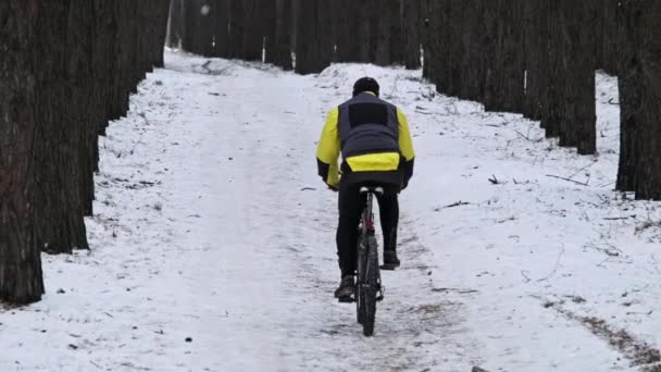松林の冬の木の間の雪の道を自転車に乗っている若い男 スローモーション 人間の自転車の後部ビューは 森林のトラックに従います 自転車でサイクリスト旅行 ライフスタイルアウトドアウォーキングスポーツ — ストック動画