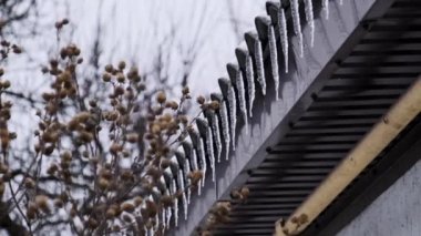 Icicles hang from the roof of a house in a winter day. Row of winter icicles hang from the overhang of the roof of the building against sky. Lot of icicles on the edge of house. 4K