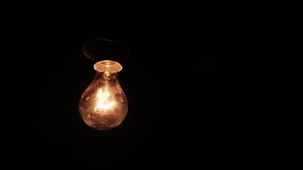 Incandescent Bulb Turns Flickers Black Background Place Text Warm Flashing — Video Stock