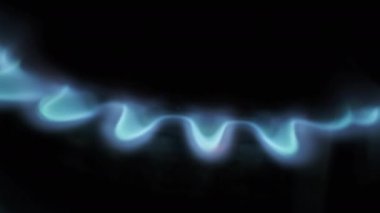 Ignited gas on a burner close-up. Burning blue flame of gas on a kitchen stove in macro. Flame of natural gas burner operation. Fire on the Stove. Circular gas-jet.