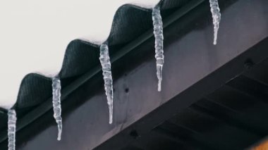 Lot of icicles hang from the overhang of the roof of the building against sky. Icicles hang from the roof of a house on a winter day. Row of icicles on the edge of house. 4K