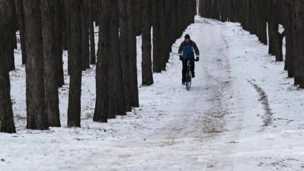 Člověk Jezdí Kole Zasněžené Stezce Mezi Zimními Stromy Zpomaleném Filmu — Stock video