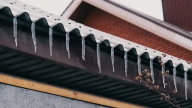 Lot of icicles hang from the overhang of the roof of the building against sky. Icicles hang from the roof of a house on a winter day. Row of icicles on the edge of house. 4K