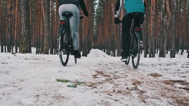 スローモーションで雪の木の間の冬のパスに沿って2台の自転車に乗って一緒にカップルの低ビュー 女と男の自転車は自然道をたどります 自転車で2人の自転車旅行 ライフスタイル スポーツ — ストック動画