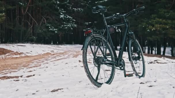 雪の多い冬の森に向かって走るボードの上にベルト駆動の自転車が立っています 近代的なベルト駆動の自転車の伝送のクローズアップビュー 自転車 スポーツ 健康的なライフスタイルで移動する概念 — ストック動画