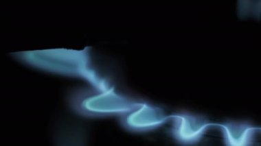 Ignited gas on a burner close-up. Burning blue flame of gas on a kitchen stove in macro. Flame of natural gas burner operation. Fire on the Stove. Circular gas-jet.