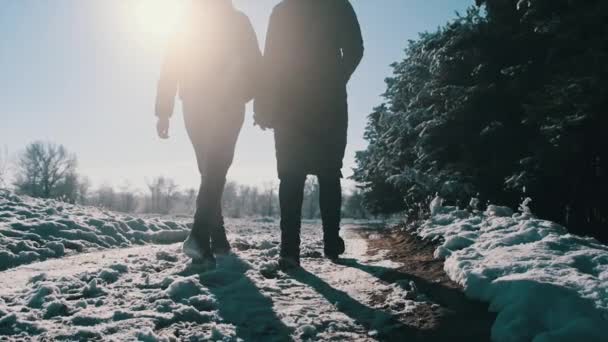 Vista Trasera Dos Mujeres Caminando Mano Largo Sendero Nevado Cerca — Vídeos de Stock