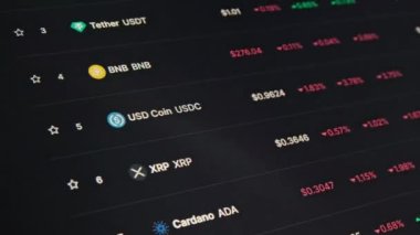 USDC 'nin dikkatine, mandalını bir dolara kaptırdı. Monitördeki kripto para birimi, yakın plan. Kripto piyasasının ve finansal sistemin çöküşü. Piyasa değeri olan web sayfası