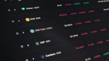 USDC 'deki dengeli madeni para, mandalını kaybetti, yakınlaştı, dikkatini topladı. Monitörde kripto para birimi, yakın plan. Kripto piyasasının ve finansal sistemin çöküşü. Piyasa değeri olan web sayfası