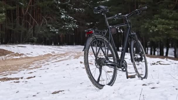Велосипед Ремнем Стоит Беговой Дорожке Против Снежного Зимнего Леса Вид — стоковое видео