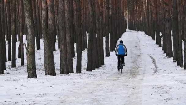 Young Man Riding Bike Snowy Path Winter Trees Pine Forest — Vídeo de stock