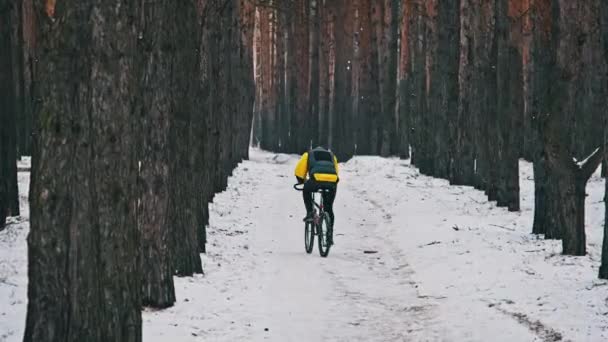 Uomo Pedala Mountain Bike Lungo Sentiero Innevato Tra Gli Alberi — Video Stock