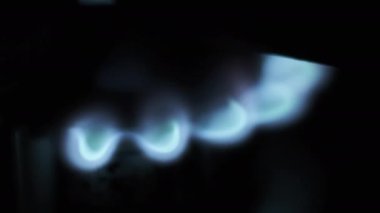 Ignited gas on a burner close-up. Burning blue flame of gas on a kitchen stove in macro. Flame of natural gas burner operation. Fire on the Stove. Circular gas-jet.