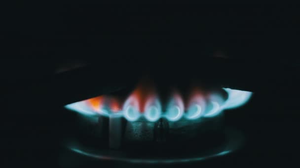Burning Blue Flame Gas Kitchen Stove Macro Ignited Gas Burner — Vídeo de Stock