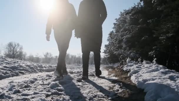 Две Девушки Идут Держась Руки Зимнем Лесу Замедленной Съемке Вид — стоковое видео