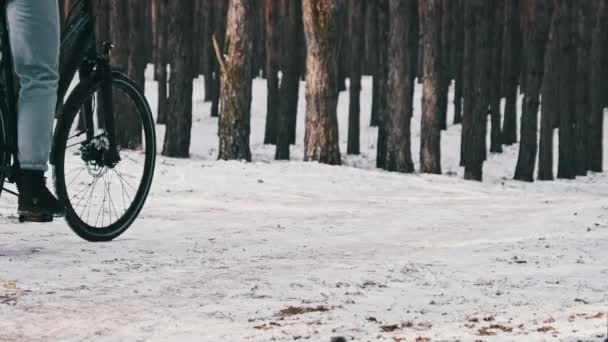 松林の冬の木の間の雪の道に自転車に乗る若い女性の後部ビュー スローモーション 森の中の森のトラックでサイクリング 女性サイクリストは自転車に乗ります ライフスタイル スポーツ — ストック動画