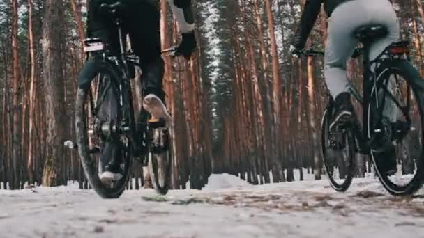 Couple Together Rides Two Bicycles Winter Path Snowy Trees Biking — Stock Video