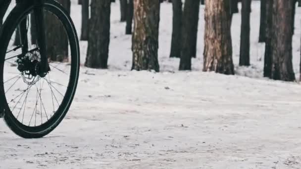 Achteraanzicht Jonge Vrouw Rijden Een Fiets Besneeuwd Pad Tussen Winterbomen — Stockvideo