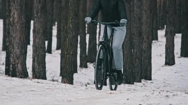 若い女性は 松林の冬の木の間の雪の道を自転車に乗って ゆっくりと動きます 風景の森の歩道で一人サイクリストが乗っています 自転車乗りは自転車に乗る 健康的なライフスタイル スポーツ — ストック動画