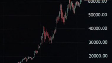 Bitcoin trading with price evolution. Timelapse chart of the price of USD and BTC in the stock market. Cryptocurrency exchange chart online on a laptop screen. Digital graph data of crypto currency.