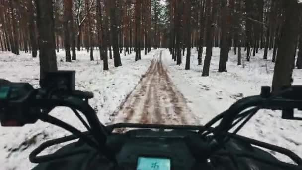 越野车骑着一辆四轮驱动的自行车在冬天的松树间 方向盘的视野 第一人称控制Atv在冰雪覆盖的道路上被冬季森林环绕 骑在雪树之间 越野赛 — 图库视频影像