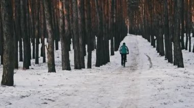 Çam ormanlarında kış ağaçları arasında karlı bir yolda bisiklet süren genç bir adam. Orman yolunda bisiklet süren bir bisikletçi var. Bisikletli bir sürücü. Sağlıklı yaşam tarzı, aktif hobiler, spor