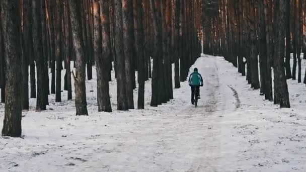 Jovem Andando Bicicleta Caminho Nevado Entre Árvores Inverno Floresta Pinheiros — Vídeo de Stock