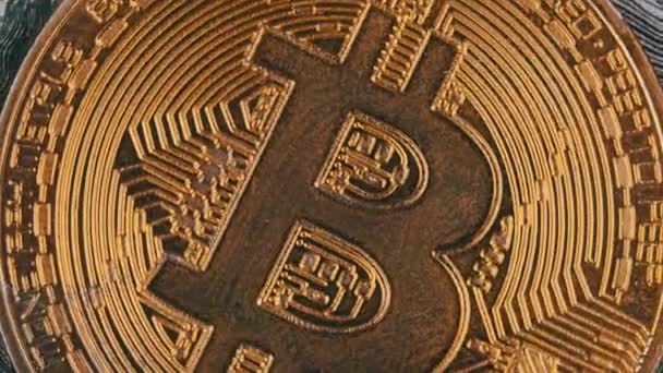 Ett Guldmynt Bitcoin Roterar Närbild Mot Bakgrund Dollar Symbolen För — Stockvideo