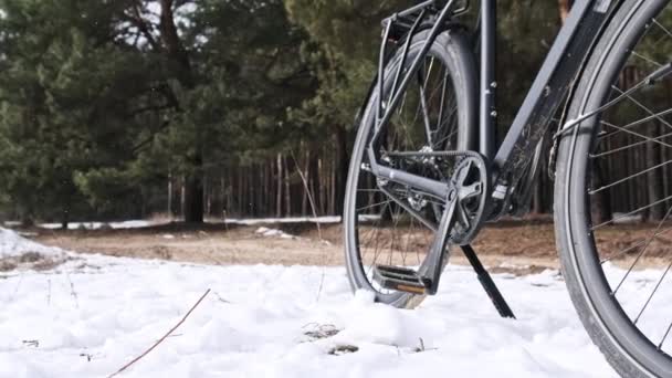 Велосипед Ремнем Стоит Беговой Дорожке Против Снежного Зимнего Леса Низкоугол — стоковое видео