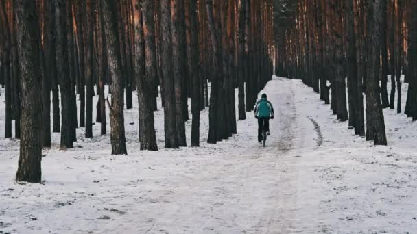 松林の冬の木の間の雪の道を自転車に乗っている若い男 スローモーション ウッドランドトラックで自転車に乗るサイクリストの1人 自転車でバイキリスト教徒のドライブ 健康的なライフスタイル 積極的な趣味 スポーツ — ストック動画