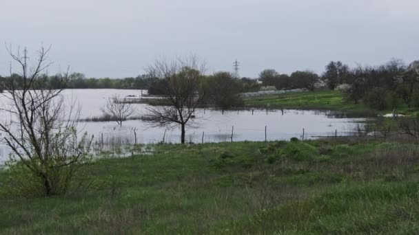 Inundación Casas Privadas Inundación Pueblo Carreteras Inundadas Árboles Jardines Campos — Vídeo de stock