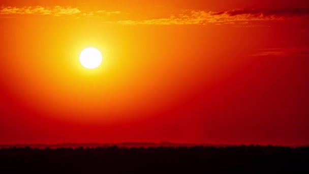 Чудовий Захід Сонця Ясному Оранжевому Небі Тімелапсе Яскраве Помаранчеве Сонце — стокове відео